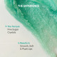Dot & Key LIP POLISH Choco Mint Exfoliating Sugar Scrub - Soft & Moisturized Lips