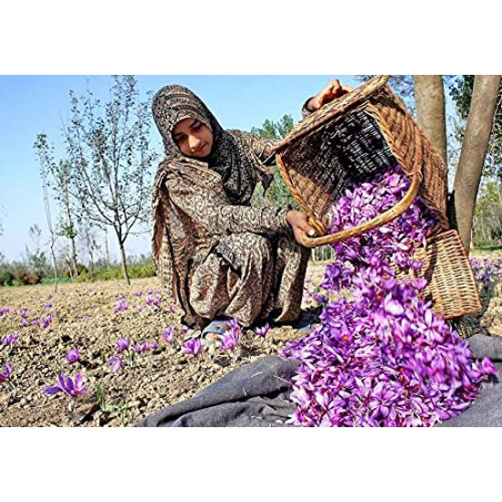 Namo Organics Saffron - Pure Kashmiri Kesar for Pregnant Women