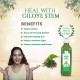 Axiom Giloye Stem Herbal Juice | Helpful in Boost Immunity | Improves Digestion and Boost Metabolism | Treats Chronic Fever | No Added Sugar - 500ml(Pack of 2)