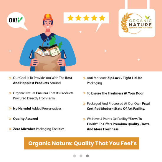 Organic Nature Homemade Moong Dal Wadi - Authentic Indian Snack