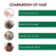 Jovees Herbal Argan Kernal Oil Hair Repair Shampoo - For All Hair Types