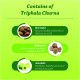 Baidyanath Asli Ayurved Nagpur Triphala Churna I Ayurvedic Remedy For Gastro-Intestinal Health - 500G