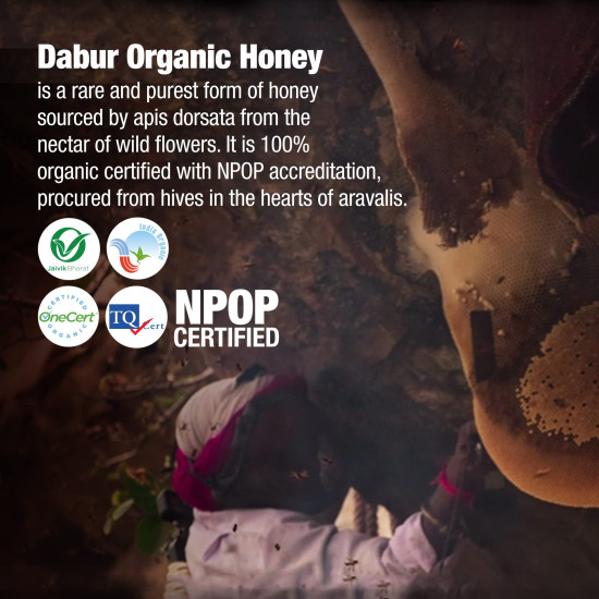 Dabur Organic Honey – 500g | 100% Pure and Natural