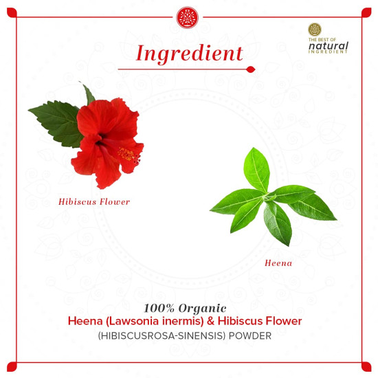 Khadi Natural Henna & Hibiscus Flower Organic Powder - Prevents Hair Loss & Promotes Growth