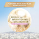L'Oréal Paris Sunscreen - Non-Greasy Brightening Protection with SPF 50