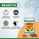 Baidyanath Gaisantak Bati, Reduces and neutralizes acid levels | Provide quick relief from common digestive problems like gas, hyperacidity, flatulence and bloating | (100 g)