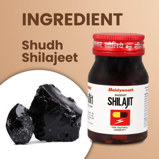 Baidyanath Shodhit Shilajit Capsules (30 Capsules)