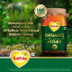 Saffola Wild Forest Organic Honey - 100% Pure & NMR Tested
