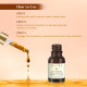 Kama Ayurveda Amarrupa Wrinkle Repair & Firming Face Oil 15ml - Natural Skincare Solution