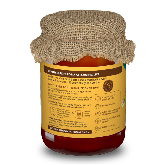 Zandu Pure Honey with Ginger: Specially Formulated to Meet Holistic Wellness Needs | Offers Relief from Cough and Cold | Helps Boost Immunity & Supports Digestive Health (Pack of 650 g)