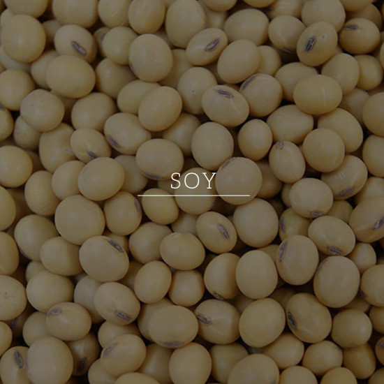 KHADI NATURAL Soy Protein Hair Mask - Strengthen & Nourish