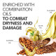 Paradyes Lighten Up! Bleach Pack 30 Vol. - Enriched with Flax, Almond & Olive Oils