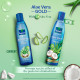 Parachute Advansed Aloe Vera Enriched Coconut Hair Oil Gold - 5X Aloe Vera for Sooperr Soft Hair