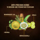 Indulekha Bringha Hair Mask - Reduces Hairfall & Strengthens Hair