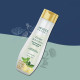 Jovees Herbal Thyme & Tea Tree Anti Dandruff Shampoo - Prevents Dandruff & Dry Scalp