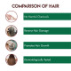 Jovees Herbal Honey & Apple Conditioning Shampoo - Frizz Control & Hair Repair
