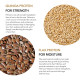 Paradyes Quinoa and Flax Protein Color Care Shampoo & Conditioner - Herbal Enriched
