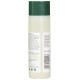 Biotique Morning Nectar Pore Tightening Purifying Toner - Flawless Skin for All Types