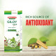 Baidyanath Jhansi | Giloy Juice1 Ltr |Natural Immunity Booster |Pure, Natural and 100% Ayurvedic Juice|| Safe for Diabetic| No Added Sugar|Giloy Juice