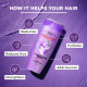 L'Oreal Paris Moisture Filling Shampoo - For Dry & Dehydrated Hair