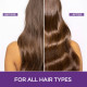 L'Oreal Paris Moisture Filling Shampoo - For Dry & Dehydrated Hair