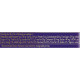 Cadbury Dairy Milk Tangy Mango Madbury Chocolate Bar - Fruity Delight