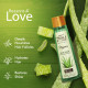 Emami 7 Oils In One Organics Aloe Vera Hair Oil - Nourishing & Hydrating Emami 7 Oils In One Organics Aloe Vera Hair Oil - Nourishing & Hydrating