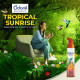 Odonil Destinations Room Air Freshener Spray 240ml - Tropical Sunrise | Long Lasting Fragrance
