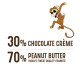 Kissan Hazelnut Choco Peanut Spread - Protein Rich Delight