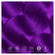 Paradyes Semi-permanent Electric Purple Hair Colour - Infused with Aloe-vera & Amla