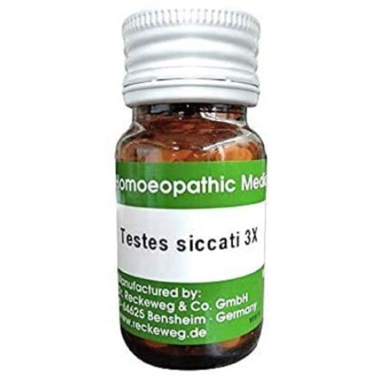 Dr. Reckeweg Testes Siccati Tablets - General Wellness Homeopathic Remedy