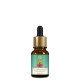 Forest Essentials Soundarya Radiance Cream & Advanced Age Defying Serum - 24K Gold Infused Skincare