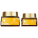 Forest Essentials Soundarya Radiance Cream with 24K Gold & SPF 25 - Ultimate Anti-Aging Solution