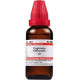 Dr Willmar Schwabe India Euphrasia Officinalis Mother Tincture - Q |EUPS001F|