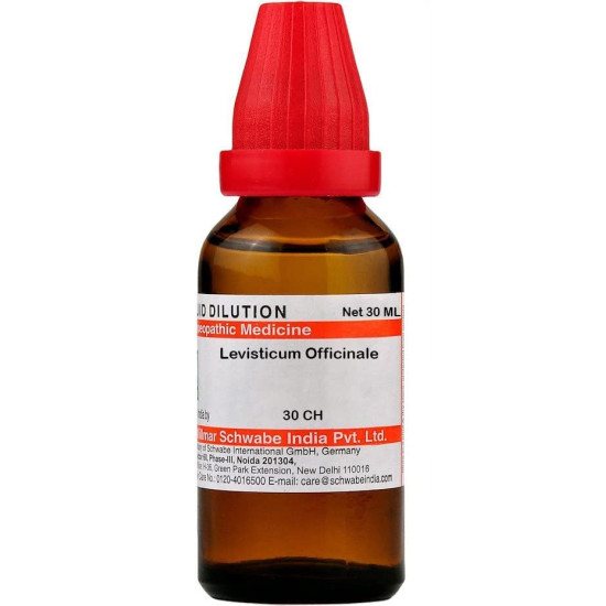 Dr Willmar Schwabe India Levisticum Officinale Dilution - 30 CH |LEOF130F| - Homeopathic Remedy