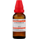 Dr Willmar Schwabe India Levisticum Officinale Dilution - 30 CH |LEOF130F| - Homeopathic Remedy