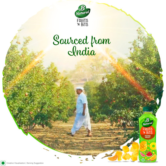 B Natural Fruits N Bits Mixed Fruit - Real Fruit Bits & 100% Indian Fruit