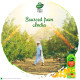 B Natural Fruits N Bits Mixed Fruit - Real Fruit Bits & 100% Indian Fruit