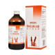 Dr. Bakshi's BAKSON'S HOMOEOPATHY Rheum Aid Syrup - Effective Bone & Joint Care
