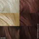 Paradyes Semi-permanent Coffee Brown Hair Colour - Infused with Aloe-vera & Bhringaraj