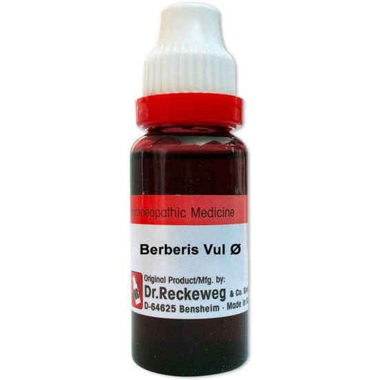 Dr. Reckeweg Berberis Vul Q Liquid (20 ml) - Homeopathic Remedy