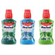 Colgate Plax Mouthwash Trio - Peppermint, Fresh Tea, Fresh Mint - Ultimate Freshness
