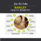 Ghotaram Jau Barley Sattu - High-Fiber & Protein Rich Flour Ghotaram Jau Barley Sattu - High-Fiber & Protein Rich Flour