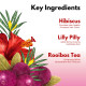 Paradyes Red Rooibos Tea Hair Perfume - Intense Hydration & Calming Fragrance