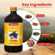 Baidyanath Drakshasava 450ml | Helps to Preserve the Strength | Effective Solution for Loss of Appetite, Tiredness, Restlessness