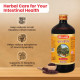 Baidyanath Kutjarishta 450 ml