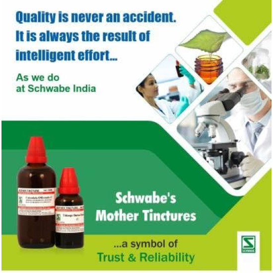 Dr.Willmar Schwabe India Sabal Serrulata Mother Tincture - Homeopathic Remedy for General Wellness