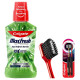 Colgate Visible White O2 Toothbrush & Plax Fresh Tea Mouthwash - Gentle Whitening & Fresh Breath Colgate Visible White O2 Toothbrush & Plax Fresh Tea Mouthwash - Gentle Whitening & Fresh Breath