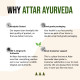 Attar Ayurveda Moringa Tablets 240 Tablets (120 x2, Pack of 2) 500 mg each | Drumstick Leaf Tablets | Pure and Natural, Highly Nutritious