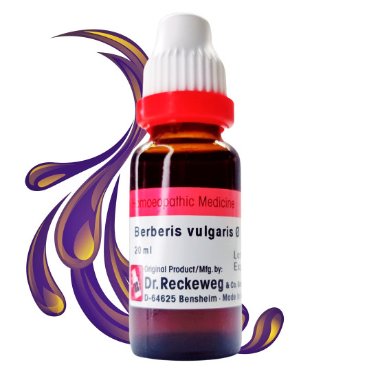 Dr. Reckeweg Berberis Vulgaris Mother Tincture Q (2x22ml) - Homeopathic Remedy